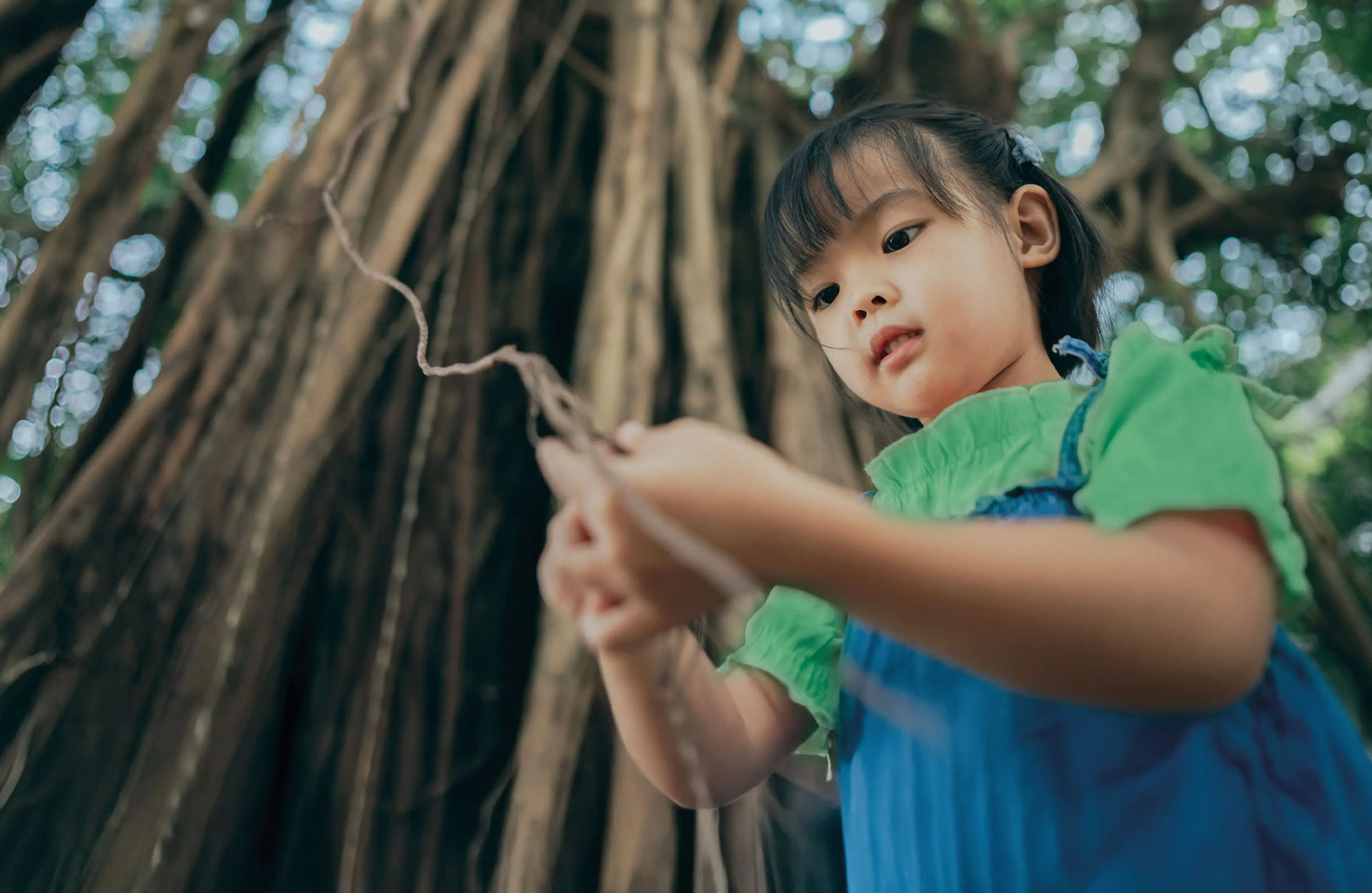 Green is not only our color, it’s our direction